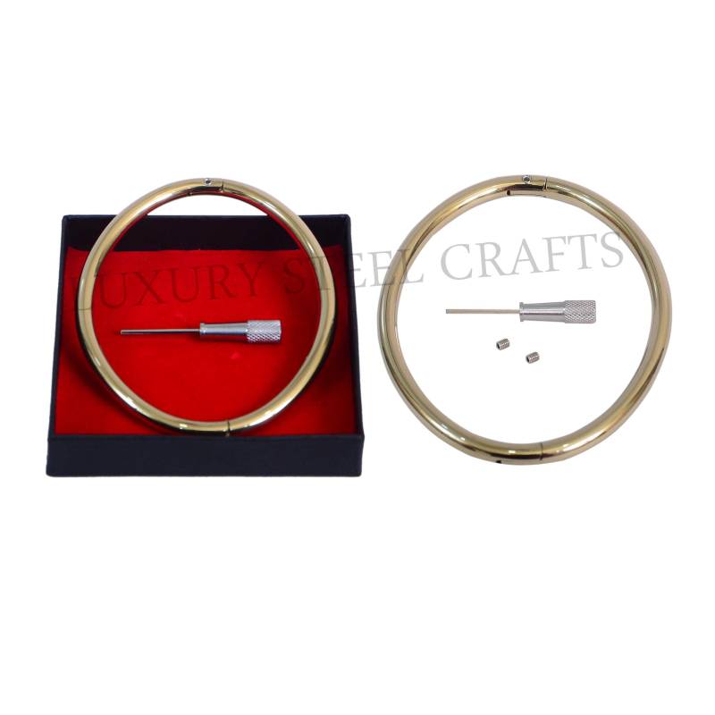 6 Mm Ellipsenform Titan Gold Über Stahl Fußkettchen Locking Cuffs Paar - Bein Eisen Von Luxury Steel Crafts von luxurySteelCrafts