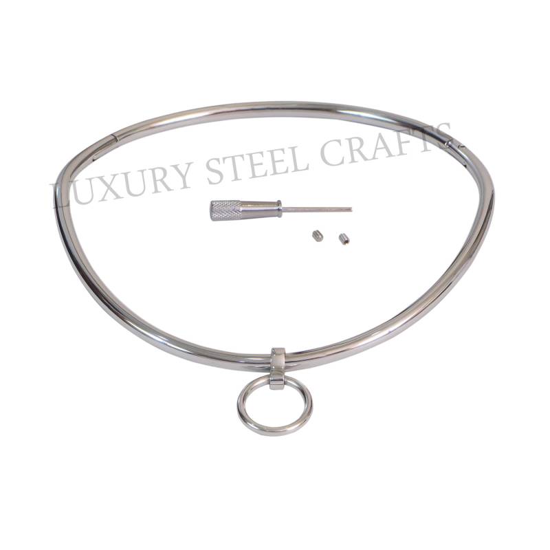 6 Mm Gebogenes Eternity-Halsband Aus Poliertem Edelstahl Mit Abnehmbarem Ring - Tageshalsband in Mehreren Größen von luxurySteelCrafts