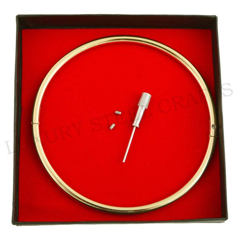 6 Mm Neues Design Gold Finish Locking Eternity Collar Edelstahl 24/7 Wear von luxurySteelCrafts