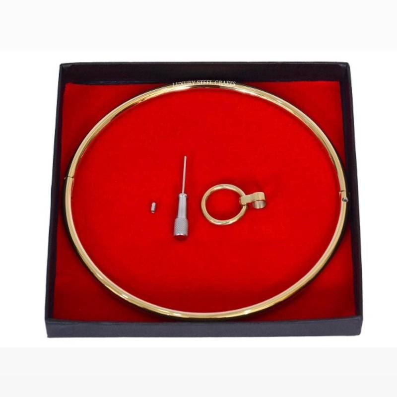 Gold Finish Verriegelung Eternity Collar Mit Abnehmbaren Ring - Edelstahl 6 Mm von luxurySteelCrafts