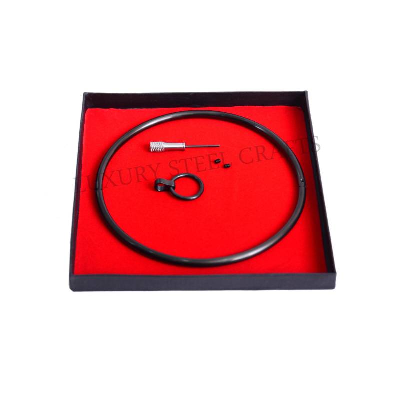 6 Mm Titan Matt Schwarz Beschichtet Über Edelstahl Halsband Mit Passenden Abnehmbaren Ring von luxurySteelCrafts