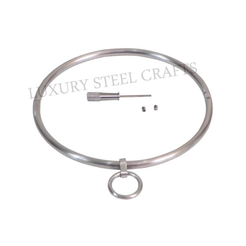 Zierliche Gewalzte 6 Mm Edelstahl Satin Eternity Halskette Mit Abnehmbaren Ring von luxurySteelCrafts