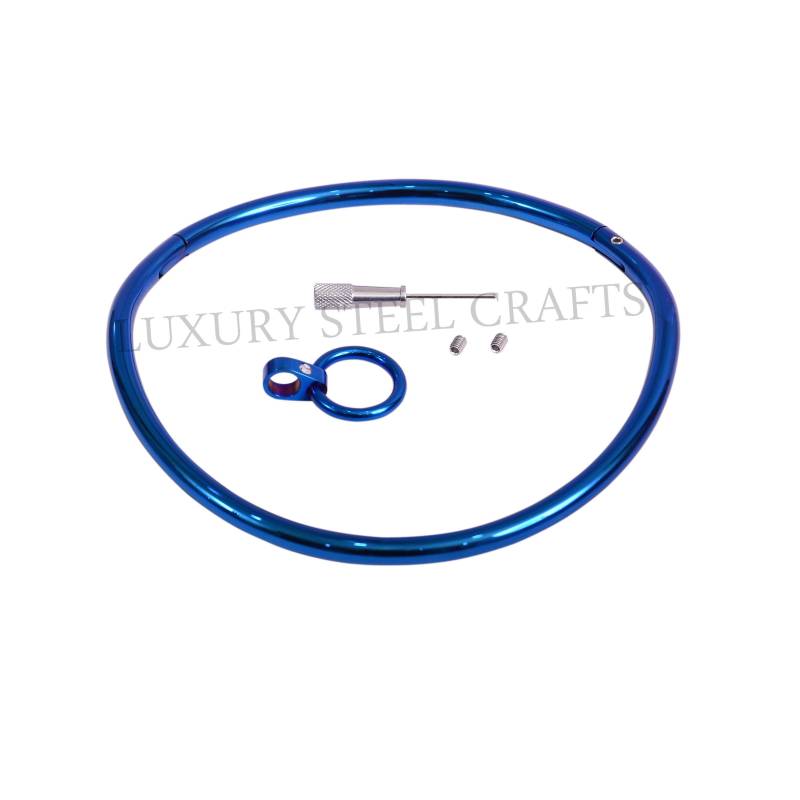 8 Mm Gebogenes Stahlblaues Halsband Mit Passendem Abnehmbaren Strassring - 24/7 Wear Halsbänder Von Luxury Steel Crafts von luxurySteelCrafts