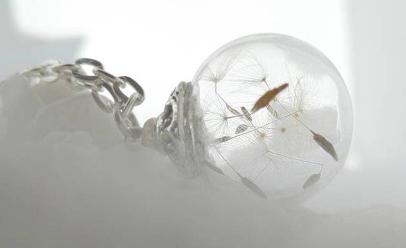 Kette Echte Pusteblume Wunsch Wunschkette Halskette Dandelion Terrarium Halskette, Löwenzahn Schmuck 45-80 cm Wunschlänge von mArteShop
