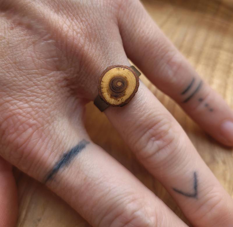 Feiner Ring Mit Kleiner, Feiner Astscheibe Aus Dem Holz Des Perückenstrauchs Feiner Ring Mit Kleiner, Feiner Astscheibe Aus Dem Holz Des Perückenstrauchs von maderamar
