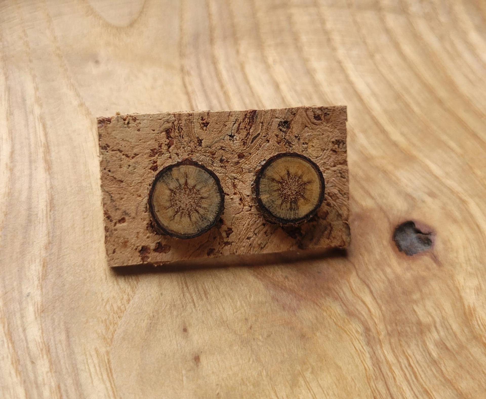 Natürliche Ohrstecker Aus Dem Holz Der Kiefer, Ökologisch Und Vegan - Handgefertigt von maderamar