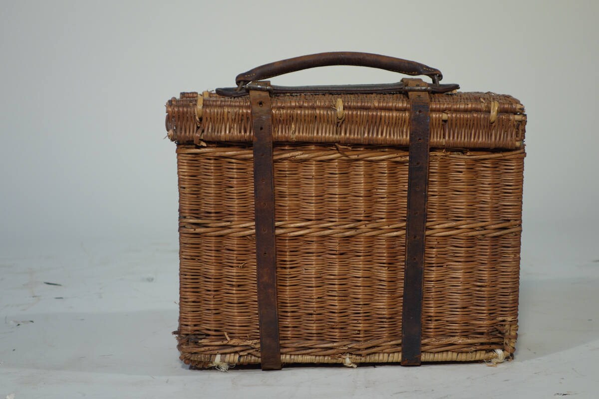 R1561 Für Die Drew Und Klänge von malleencoin