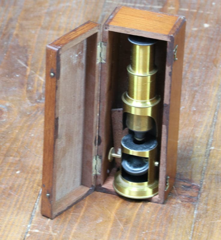 R2393 Mikroskop Des Reisens von malleencoin