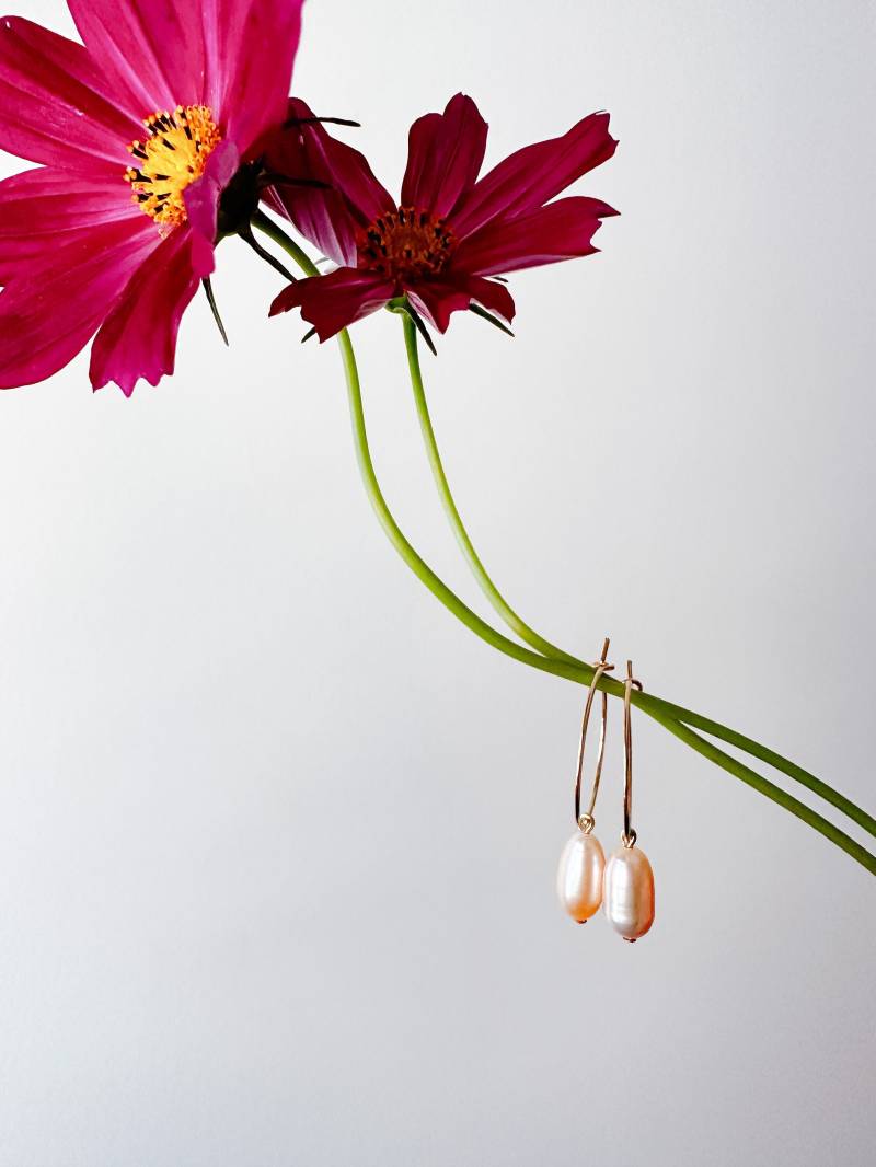 Amaranth Creolen // Süßwasser Perle & 14K Gold Filled Tropfen-Ohrringe von mammothandminnow