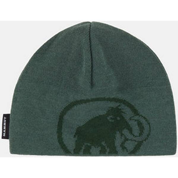 MAMMUT Herren Beanie Tweak von mammut