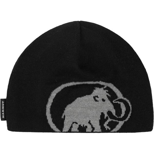 MAMMUT Herren Beanie Tweak von mammut
