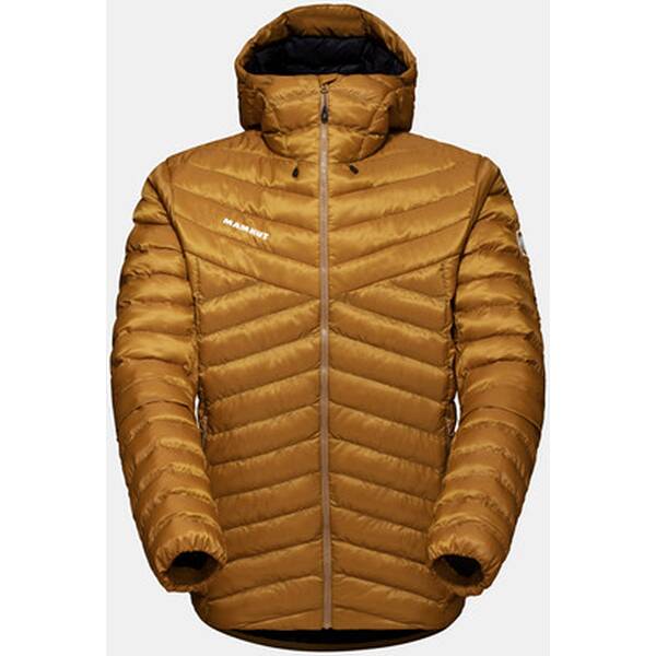 MAMMUT Herren Funktionsjacke Albula IN Hooded Jacket Men von mammut