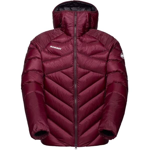 MAMMUT Herren Funktionsjacke Taiss IN von mammut