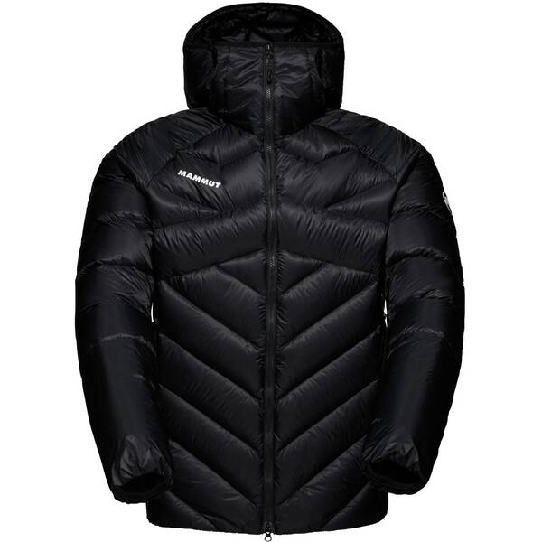 MAMMUT Herren Funktionsjacke Taiss IN von mammut