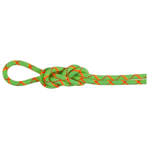 Mammut - 8.0 Alpine Core Protect Dry Rope - Halbseil Gr 60 m grün Mammut - 8.0 Alpine Core Protect Dry Rope - Halbseil Gr 60 m grün von mammut