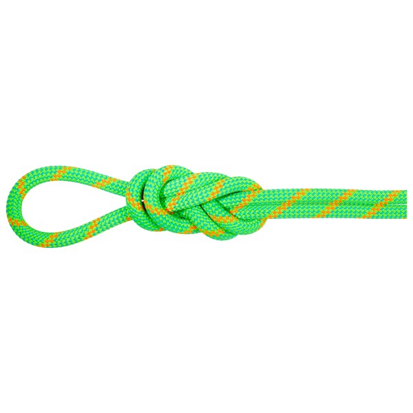 Mammut - 8.0 Alpine Eco Dry Rope - Halbseil Gr 70 m grün von mammut