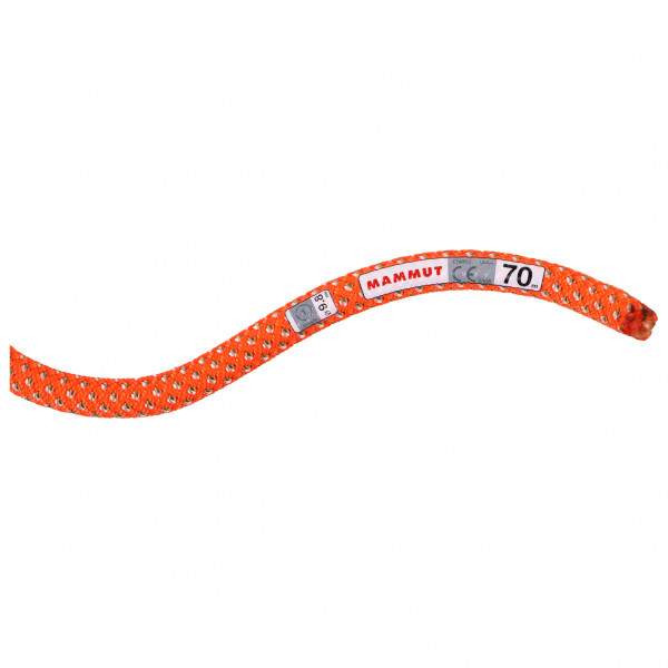 Mammut - 9.8 Crag Classic Rope - Einfachseil Gr 70 m bunt von mammut