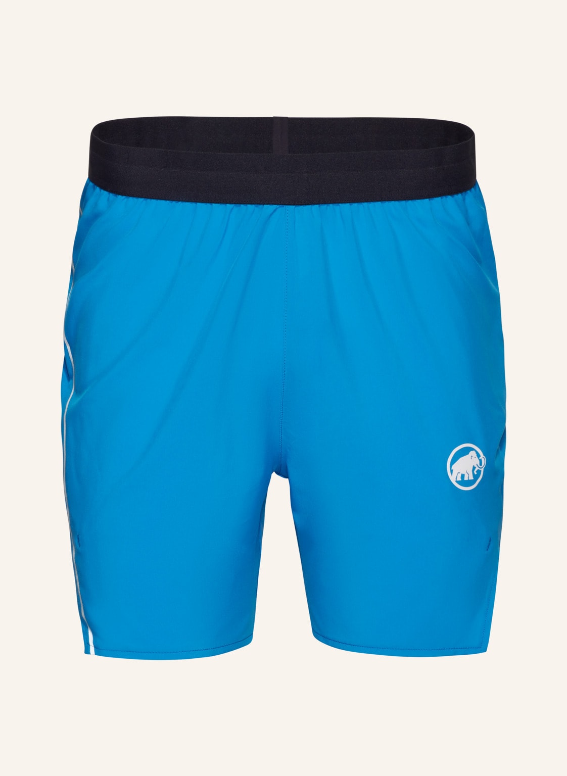 Mammut Aenergy Tr Shorts Men blau von mammut