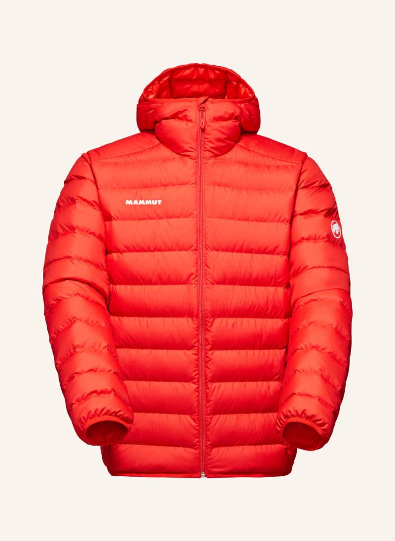 Mammut Daunenjacke Waymarker In Mit Kapuze rot von mammut