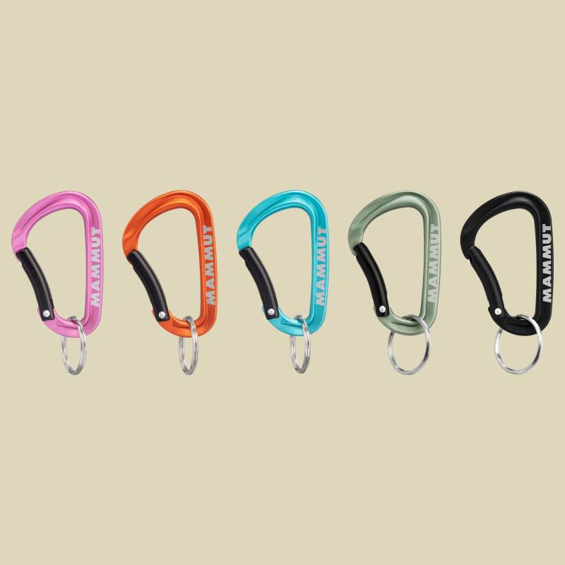 Mammut Mini Carabiner Classic Keylock S Größe 6 cm Farbe assorted von mammut