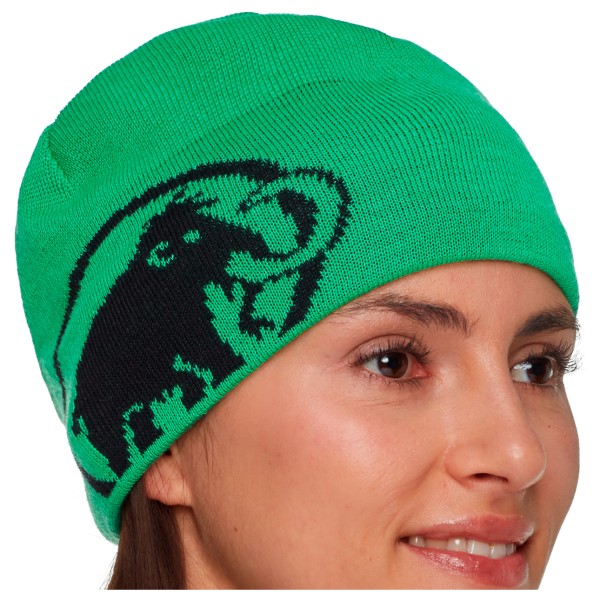 Mammut - Tweak Beanie - Mütze Gr One Size grün von mammut