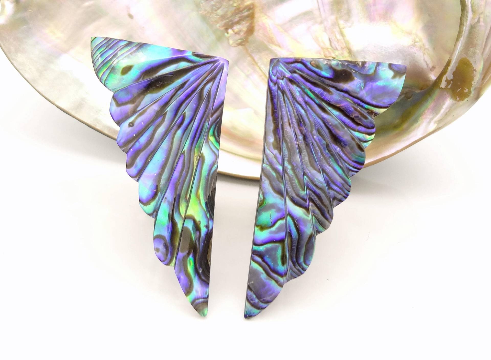 Paua Ohrclipse - Paua Shell Ear Clips Paua Ohrclipse - Paua Shell Ear Clips von manihikishop