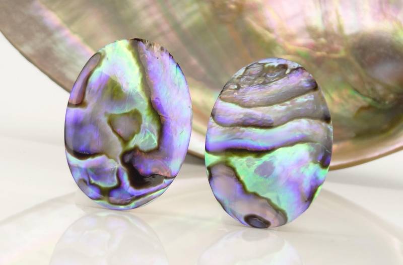 Paua Ohrclipse - Paua Shell Ear Clips von manihikishop