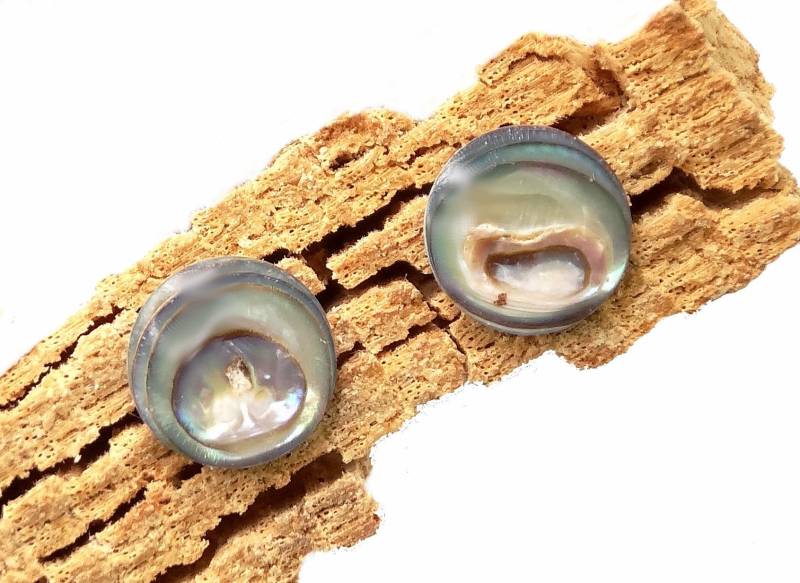 Paua Ohrstecker Rund - Shell Stud Earrings Round von manihikishop