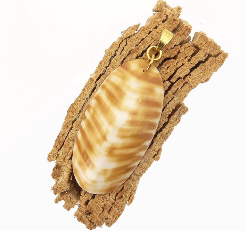 Perlmutt Anhänger Nautilus - Mother Of Pearl Pendant Nautilus von manihikishop