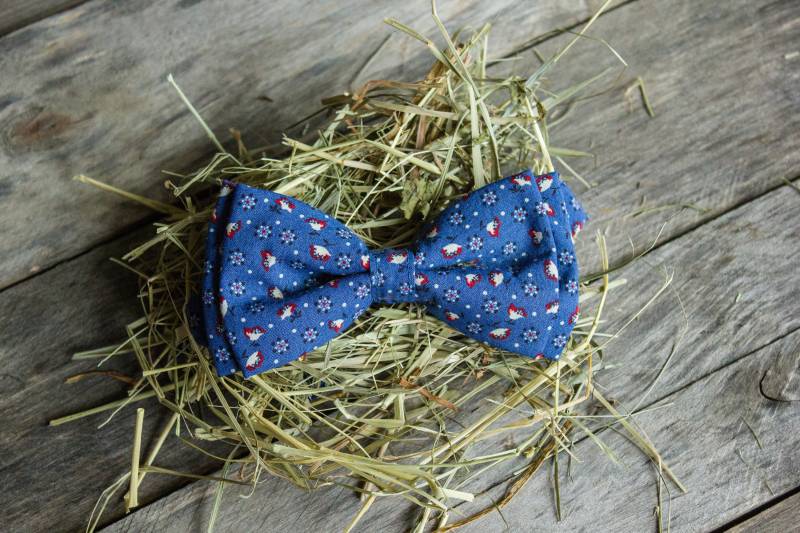 Blaue Fliege - Für Männer Floral Herren Jungen Rustikale Hochzeit Party von mantaikotai