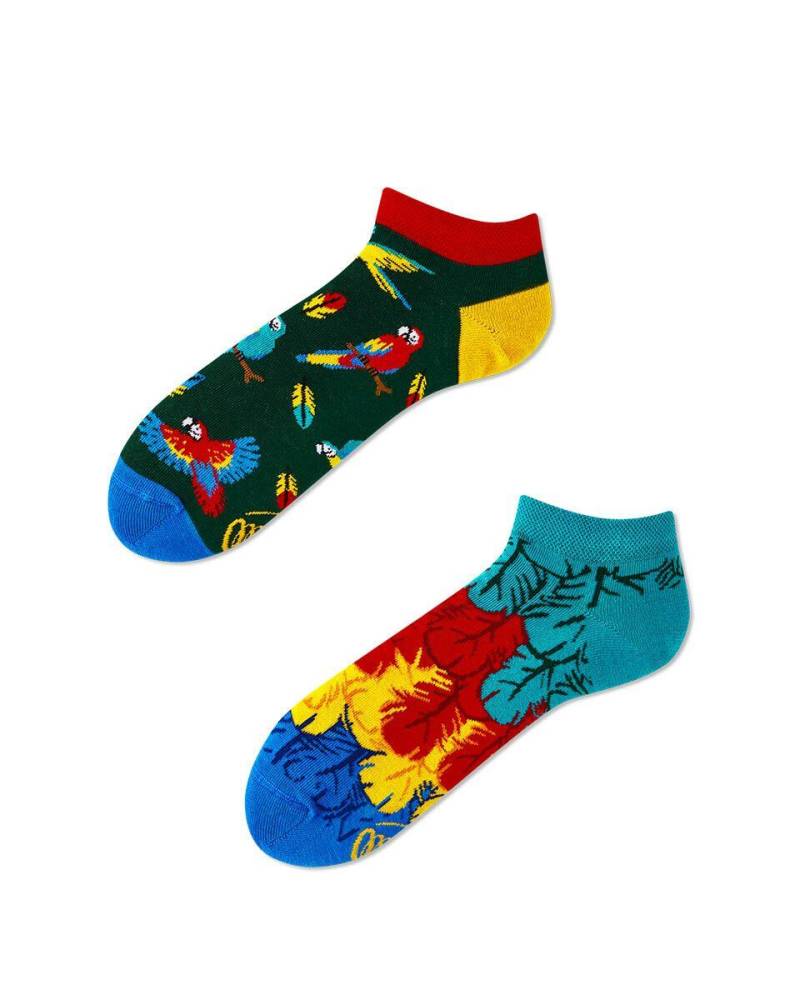 many mornings - Socken PARADISE PARROT LOW rot/grün/blau von many mornings