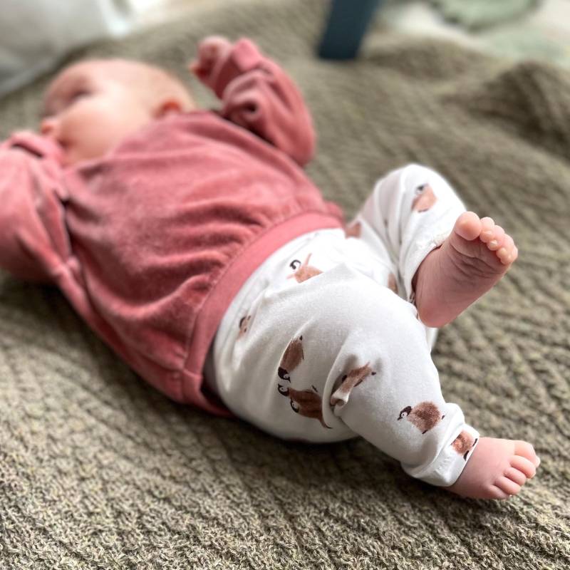 Bio-Baumwoll-Baby-Leggings Mit Süßem Pinguin-Design - Nachhaltig & Bequem von marliconcept
