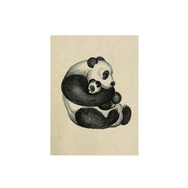 matabooks® Postkarte Graspapier - "Panda" von matabooks®