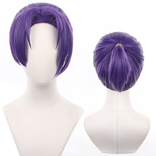 Anime Cosplay Perücke Cos Perücken Lila Hitzebeständiges Synthetikhaar für Männer und Frauen Halloween Party mit Haarnetz von maysuwell