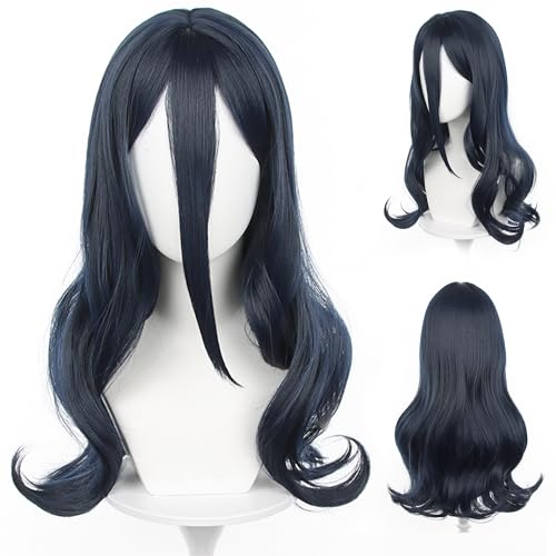 Blauer Perücke für erwachsene Männer, Anime-lange wellige Perücke für Cosplay mit einer Perückenhaube, perfekt für Halloween-Partys und mehr von maysuwell