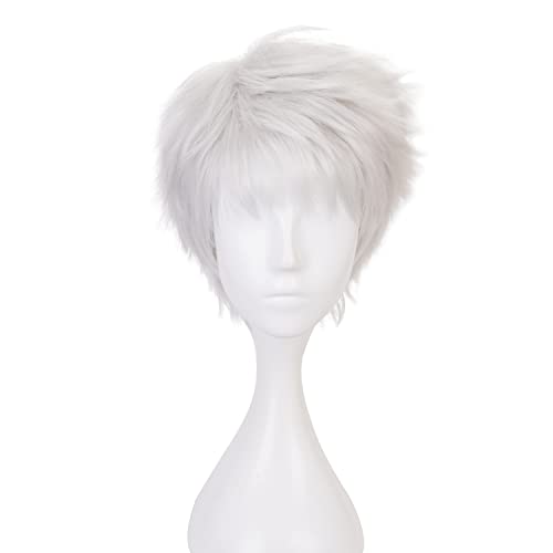 Cosplay-Perücke Anime-Kostüm mit silberweißen kurzen und geraden Perücken für Männer oder Jungen Halloween Familienparty von maysuwell