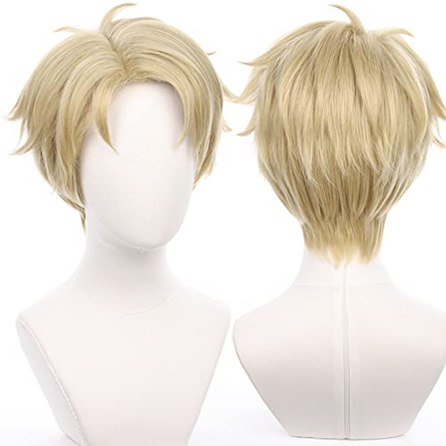 Dunkelbraune Perücke Cosplay-Perücke Kostüm Herren Lange Anime-natürliche weiche Party-Haarperücken mit Perückenkappe von maysuwell