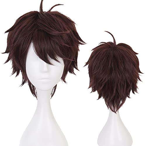 Dunkelbraune Perücke für Oikawa Tooru Cosplay Perücke Haikyuu Kostüm Männer Kurze Anime Natürliche Weiche Party Haar Perücken mit Perückenkappe von maysuwell