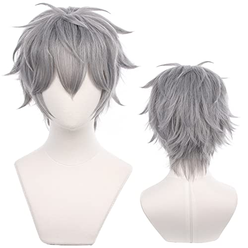 Graue Perücke für Anime mit kurzen geraden Haaren aus hitzebeständigem Synthetikfasermaterial für Halloween, Comic Con und Cosplay-Shows von maysuwell