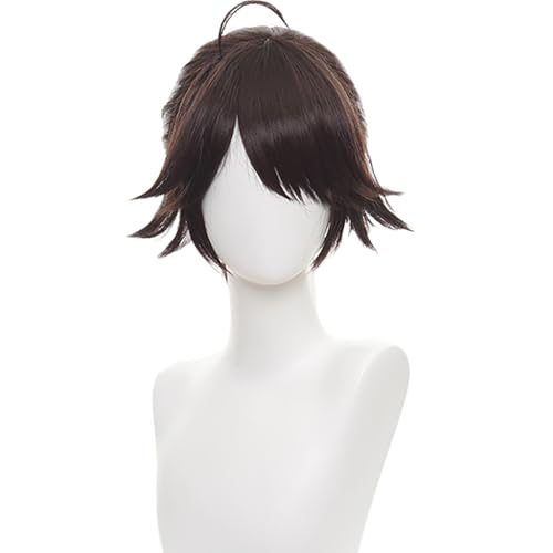 Cosplay Perücke Braun Langes Haar Glattes Haar mit Pferdeschwanz für Männer Anime Cos Perfekt für Halloween Party von maysuwell