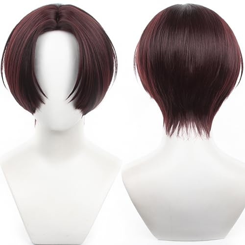 Rote Perücke für erwachsene Männer, Anime kurzes gerades Haar für Cosplay, perfekt für Halloween-Partys und mehr von maysuwell