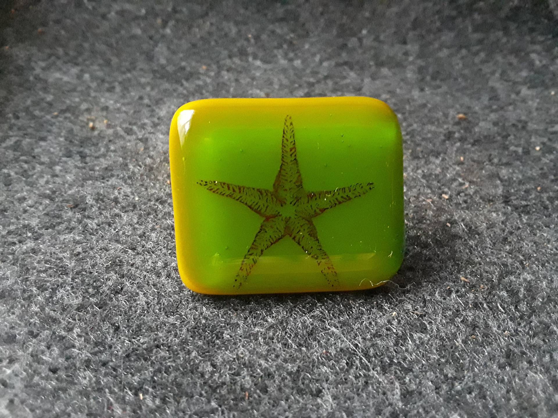 Seestern Verschmolzen Glasring Seestern Verschmolzen Glasring von meimeichang