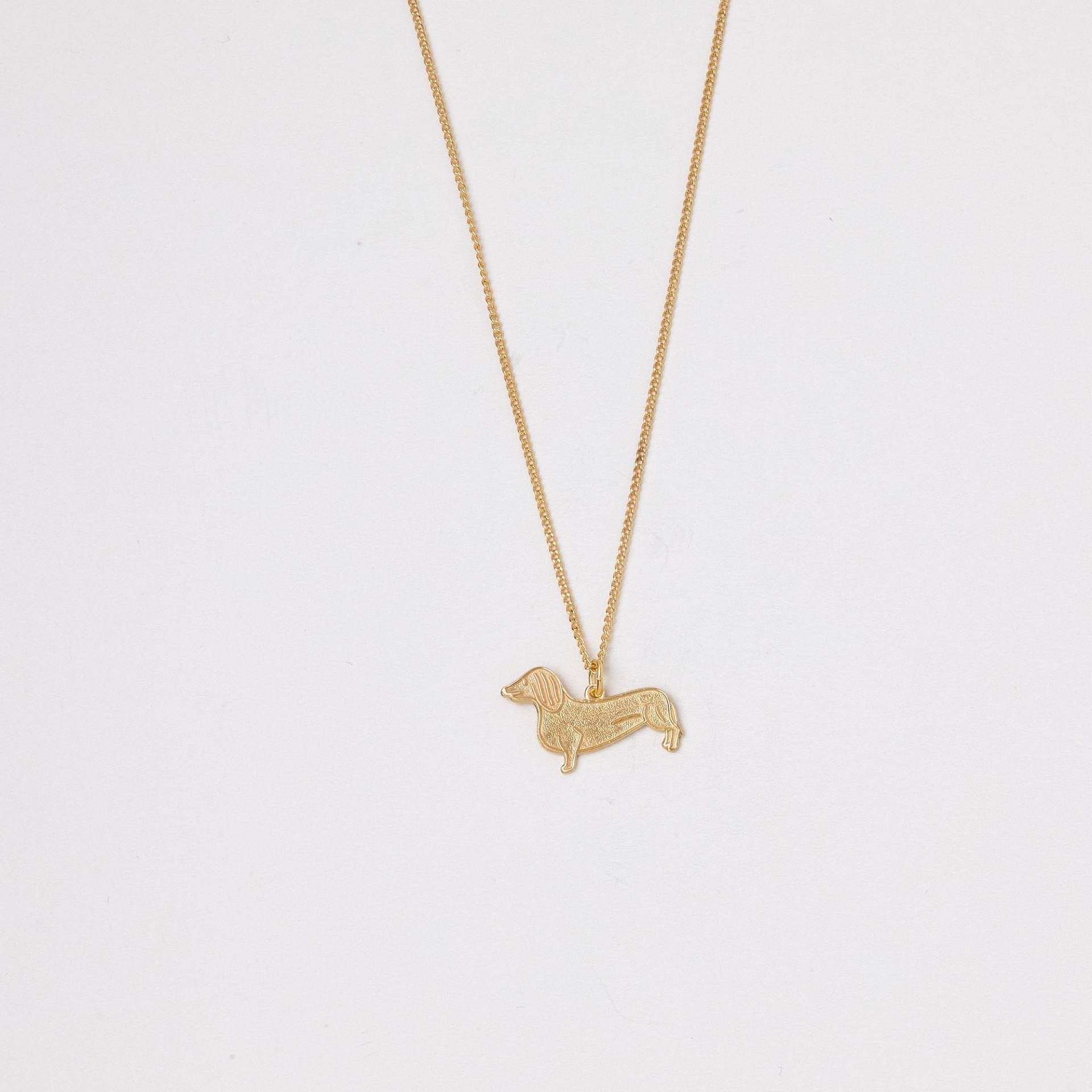Goldene Kette Hund Dackel Dackellove Halskette Mit Einem Kleinen Dackelanhänger Anhänger Hundekette Teckel Brezel Dachshund von meineketten