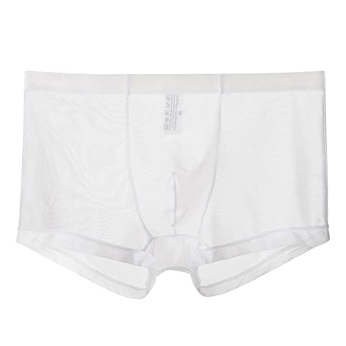 Tanga Herren Dessous Erotisch Sexy Unterwäsche für Mann Mens Ice Silk Transparent Triangle Pants Thin Low Waist Mesh Sommer Sexy Atmungsaktive Unterwäsche Clubwear Herren Sexy Unterhosen Männer Sexy von meiodtion