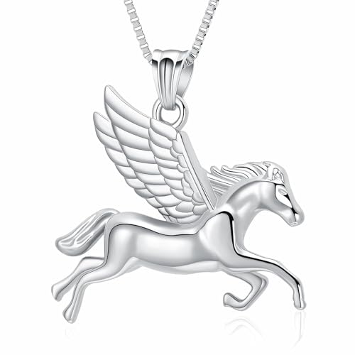 Flying Horse Einäscherungsschmuck für Asche für menschliche Haustier Keepsake Urne Halskette für Frauen Männer Pferd Memorial Asche Anhänger mit Flügeln von memorial jewelry