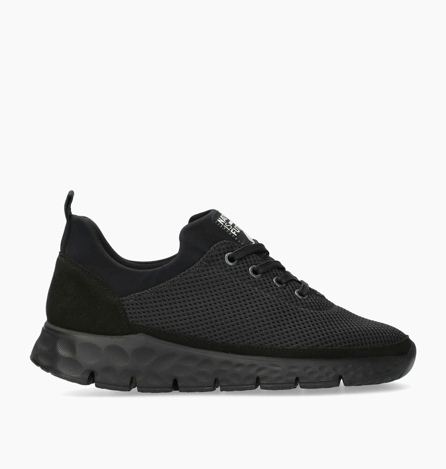 - Wing Mango street 76 - 147-70-19-0001 5 - Wing Mango street 76 - 147-70-19-0001 5 von mephisto