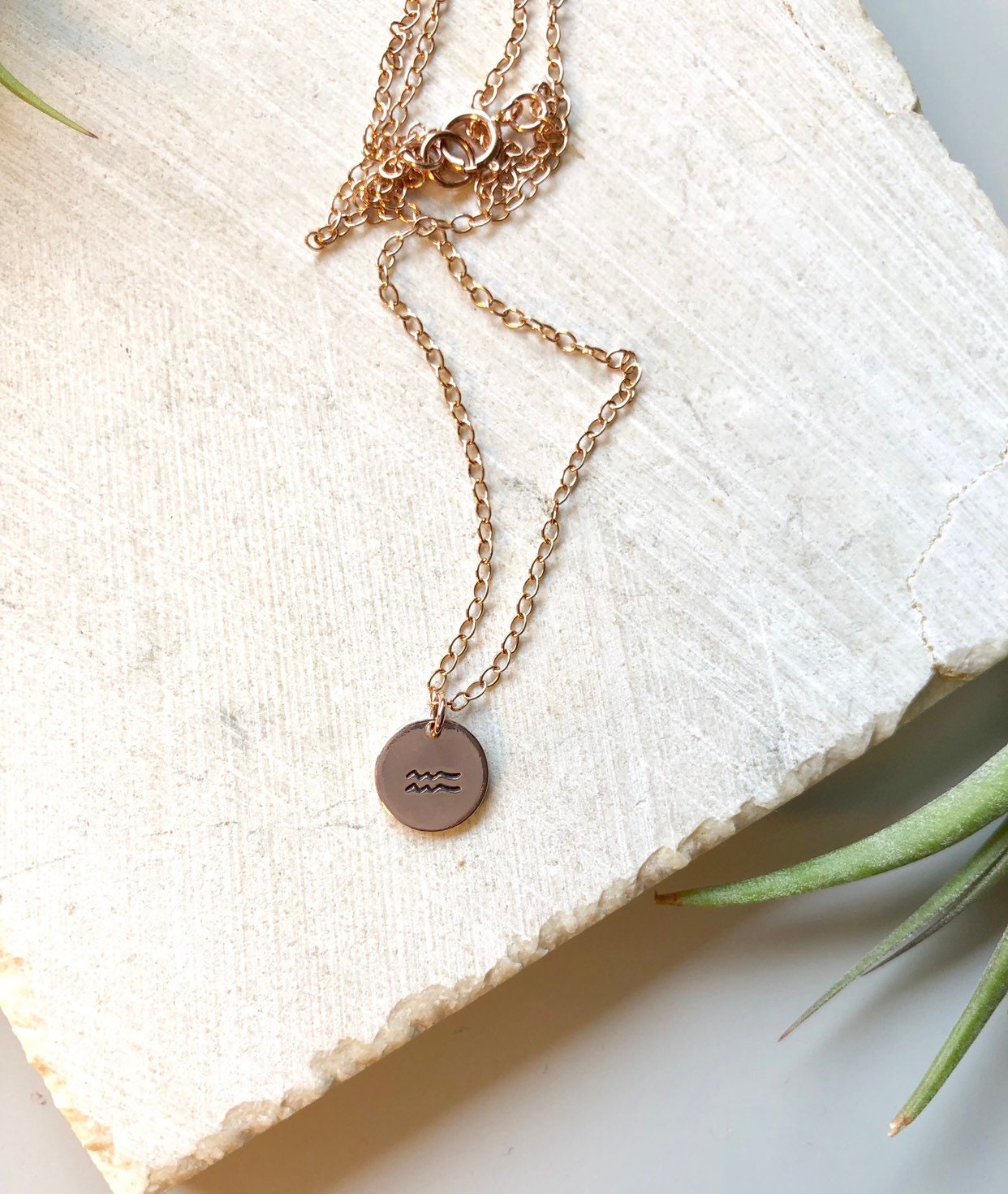 Custom Sternzeichen Rosegold Filled Anhänger Halskette - 14K Fill Timy Plättchen Kleiner Kreis von metalandivy