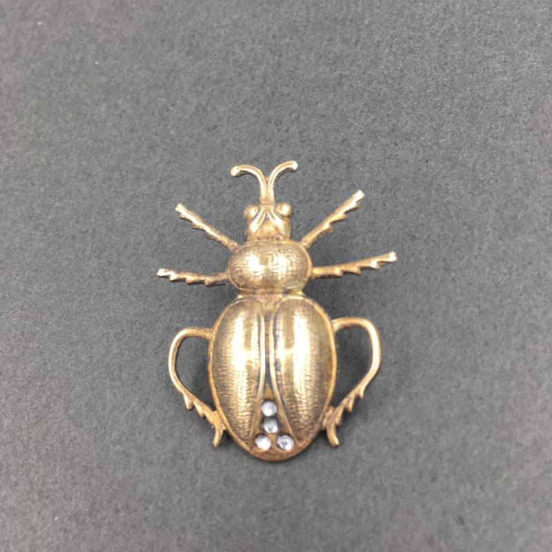 Skarabäus Anstecknadel, Insekt Brosche, Bug Pin, Schmuck, Skarabäus, Käfer Schmuck von metalclothandwood