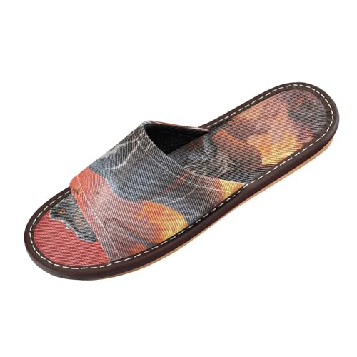 Feuer-Dinosaurier-Hausschuhe für drinnen und draußen, waschbar, niedlich, für Zuhause, Strand, rutschfeste Sandalen für Pool, Fitnessstudio, Bad, Haus, Zapatillas para mujer, Feuer-Dinosaurier-Brüllen Feuer-Dinosaurier-Hausschuhe für drinnen und draußen, waschbar, niedlich, für Zuhause, Strand, rutschfeste Sandalen für Pool, Fitnessstudio, Bad, Haus, Zapatillas para mujer, Feuer-Dinosaurier-Brüllen von miaozhen