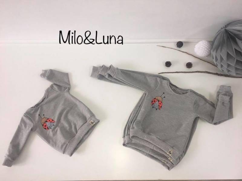 Süßer Pullover Mit Marienkäfer Bild von miloundluna